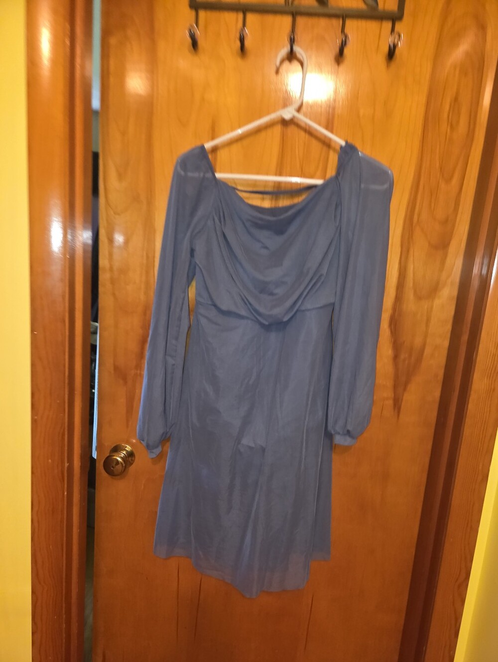 Large Adult Lrycial Costume